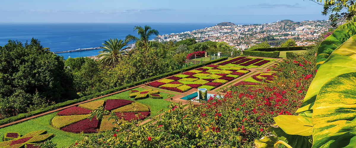 A view over Funchal's Botanical gardens towards the sea, Madeira
